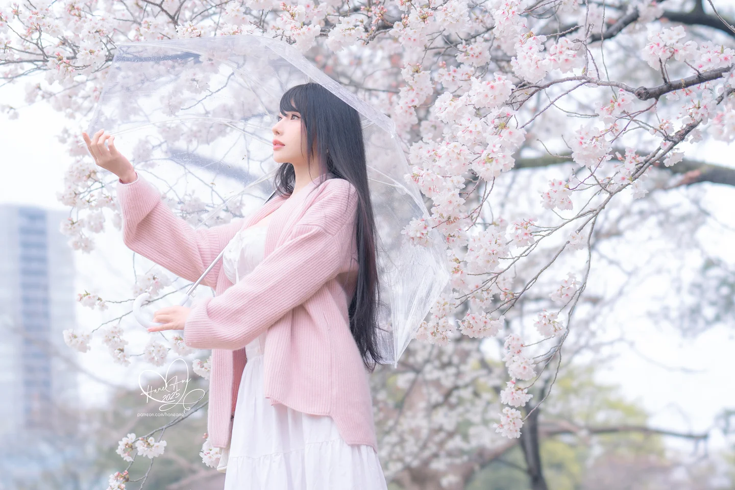 雨波_HaneAme - 原创 雨樱下的约定 [65P,4V-941MB] 1 (10).webp